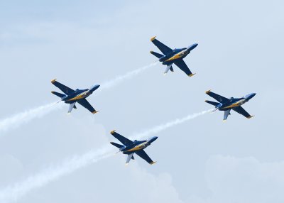 _DSC2225.jpg