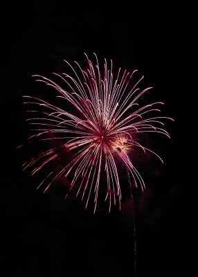 _DSC3693.jpg