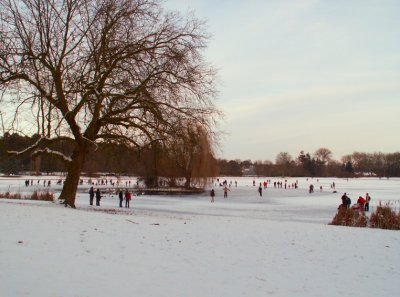 Tervueren... (11/1/2009)