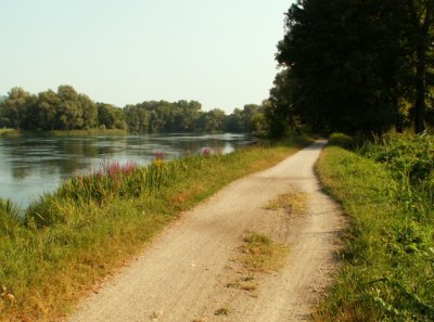 g1/42/534842/3/116638452.0h8akkJF.jpg