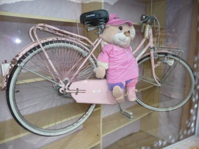 Souvenir du Giro 2010.