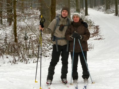 Ski de fond en Forêt de Soignes.
