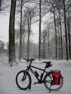 Et pour terminer, une photo du beau vélo et son pneu à clous dans la belle forêt... (suite)