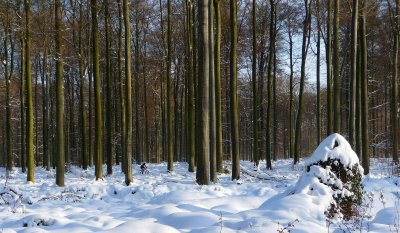 Cycliste perdu ? (suite)