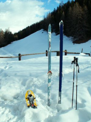 Raquette ou ski de randonne nordique ?