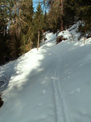 Une trace de skieur (nordique ?) montre le chemin...