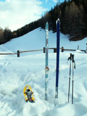 Vieux skis de telemark SPLITKEIN