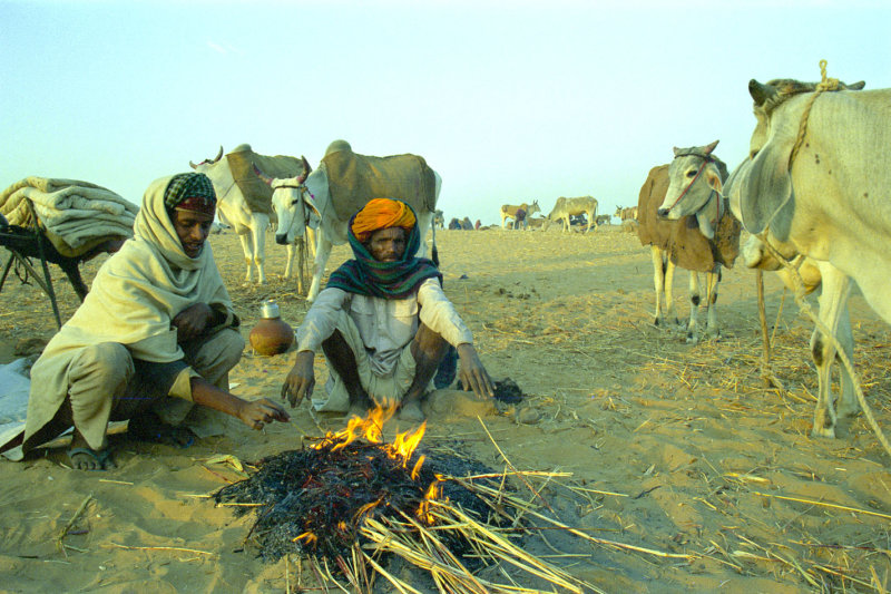 Rajasthan - India