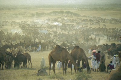 Rajasthan