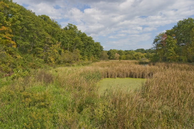 CRW_9270.jpg