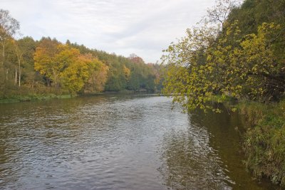 CRW_9368.jpg