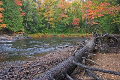 Oxtongue River - Ragged Falls