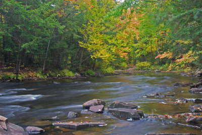 CRW_9688.jpg