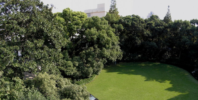 Garden at The Arts and Crafts Museum