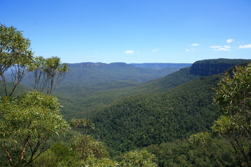 A walk in The Blue Mountains