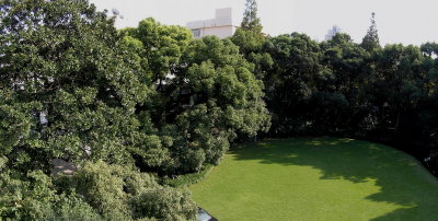 Garden at The Arts and Crafts Museum