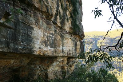 A walk in The Blue Mountains