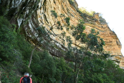 A walk in The Blue Mountains