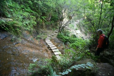 A walk in The Blue Mountains