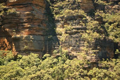 A walk in The Blue Mountains
