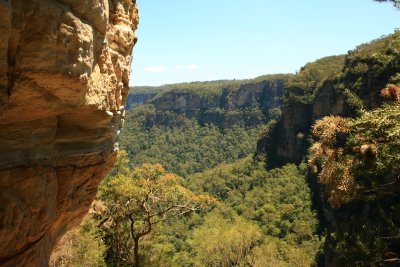 A walk in The Blue Mountains