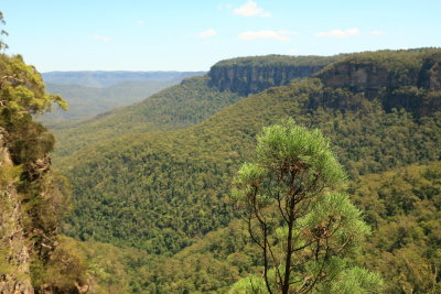 A walk in The Blue Mountains