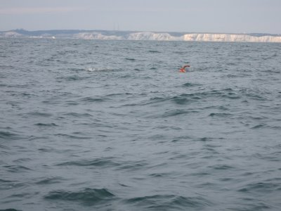 2008_1119CrossingChannel0037.JPG