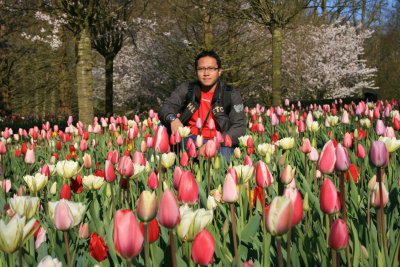 Tulip Garden @ Keukenhof