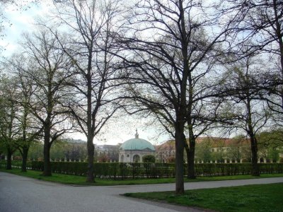 Dome behind the trees