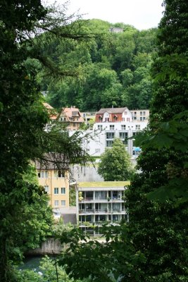 houses between the trees.JPG