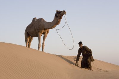 Jaisalmer, Thar Desert camel safari