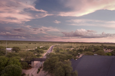 Etosha game park