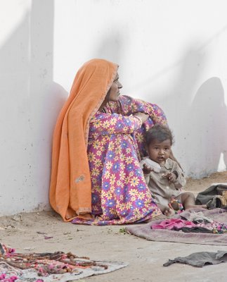 pushkar, camel fair