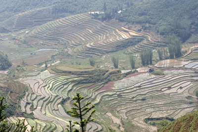 g1/42/626842/3/114313756.MdLj04Px.jpg