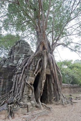 angkor wat, Ta Som-east gate