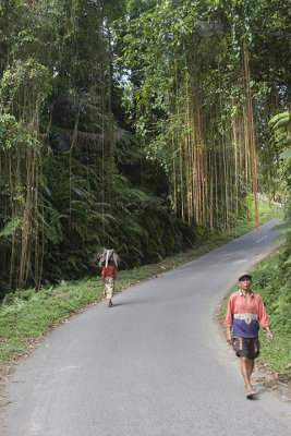 ubud, Bali