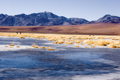 frozen lakes, northern Chile