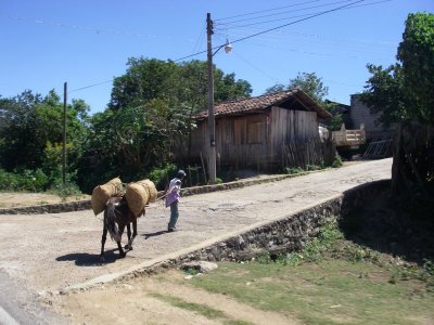 Southern Mexico