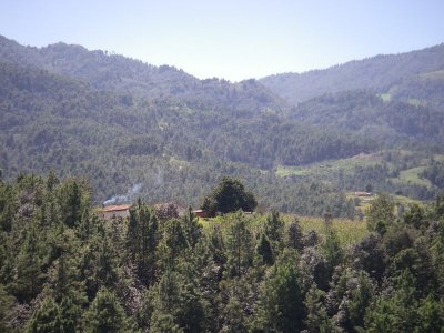 IMGP1710sm.JPG