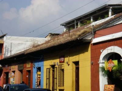 IMGP1869sm.JPG