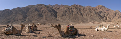 Ras Abu Galum, the top side - panorama stitched from 4 horizontal exposures