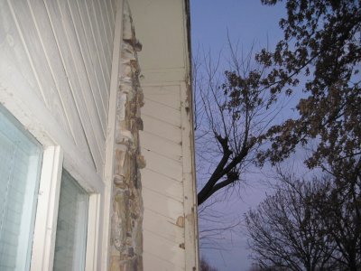 IMG_1928.JPG