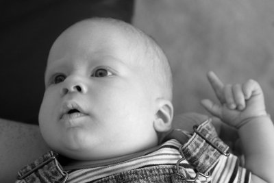 IMG_2629Hayden BW800.jpg