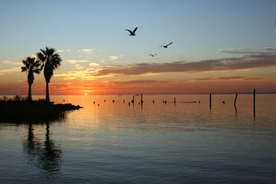 Kemah Texas Sunrise2934fix1000.jpg