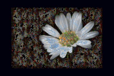 Flower Mosaic Poster1200.jpg