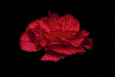 Carnation Mosaic1200.jpg