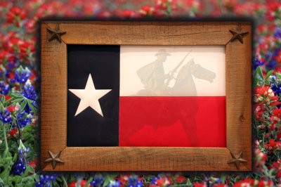 RangerBluebonnets1000.jpg