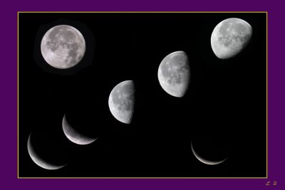 Moon Poster Purple mat1000.jpg
