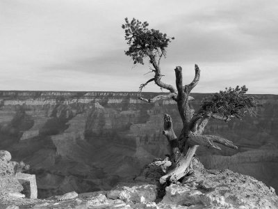 GrandCanyon101bw.jpg