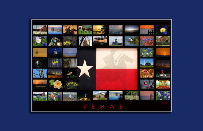 Texas Poster 11x171000.jpg